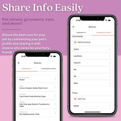 Show full view: Tailr Classic QR Code Hanging Digital Pet Profile Personalized Dog & Cat ID Tag, Gold, Small slide 6 of 10