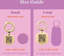 Tailr Classic QR Code Hanging Digital Pet Profile Personalized Dog & Cat ID Tag, Gold, Large slide 2 of 9