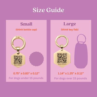 Show full view: Tailr Classic QR Code Hanging Digital Pet Profile Personalized Dog & Cat ID Tag, Gold, Small slide 7 of 10