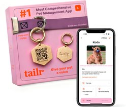 Tailr Classic QR Code Hanging Digital Pet Profile Personalized Dog & Cat ID Tag, Gold, Large