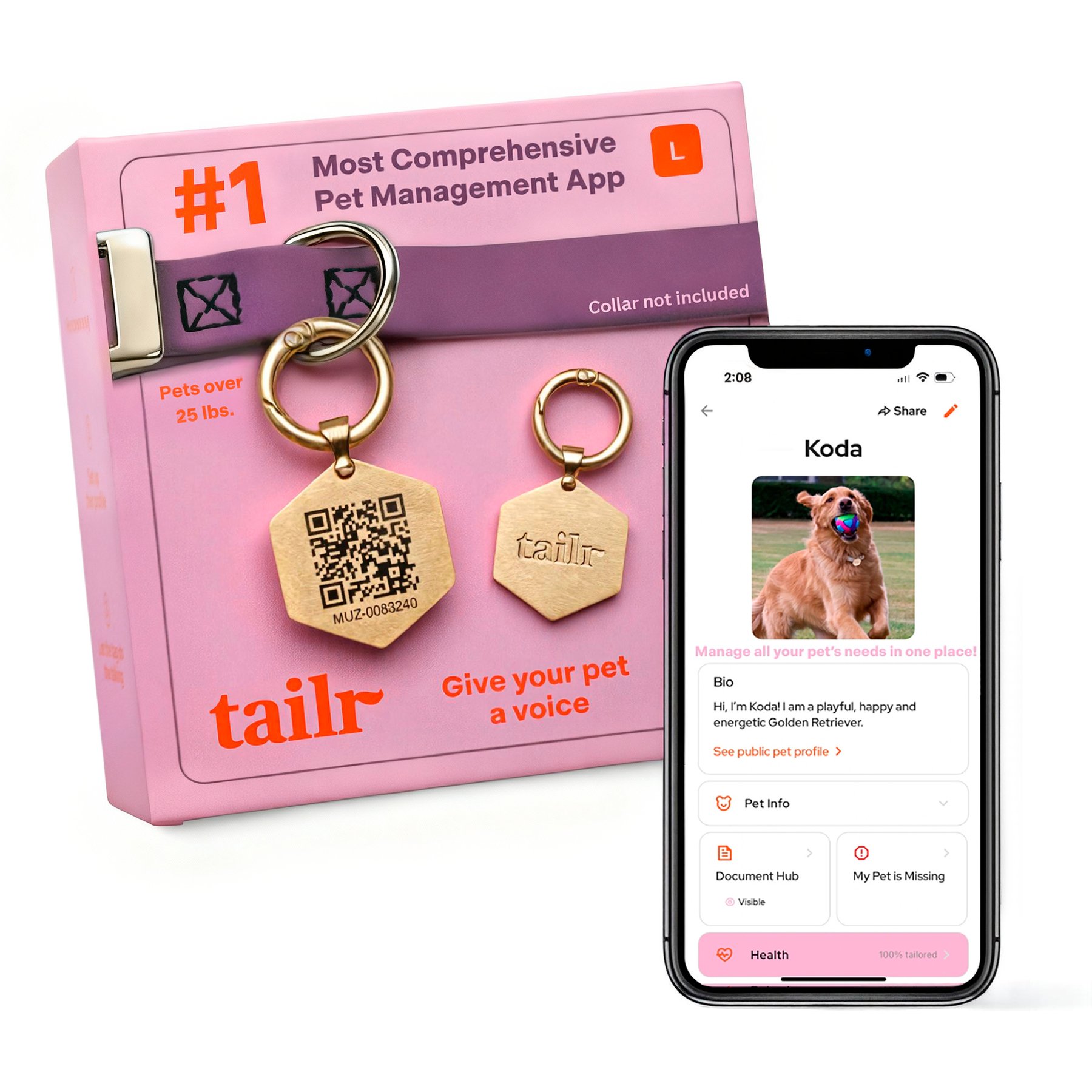 Tailr Hanging QR Code Personalized Dog & Cat ID Tag, Gold, Large