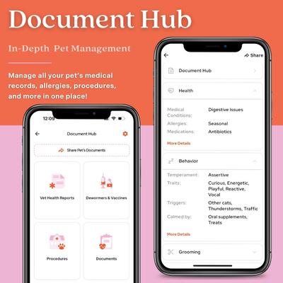 Show full view: Tailr Classic QR Code Hanging Digital Pet Profile Personalized Dog & Cat ID Tag, Gold, Small slide 3 of 10