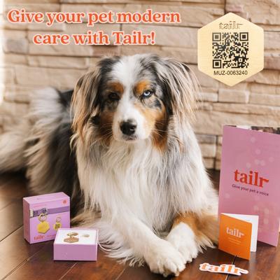 Show full view: Tailr Slide-On QR Slide On Silent Digital Pet Profile Personalized Dog & Cat ID Tag, Gold, Large slide 3 of 10
