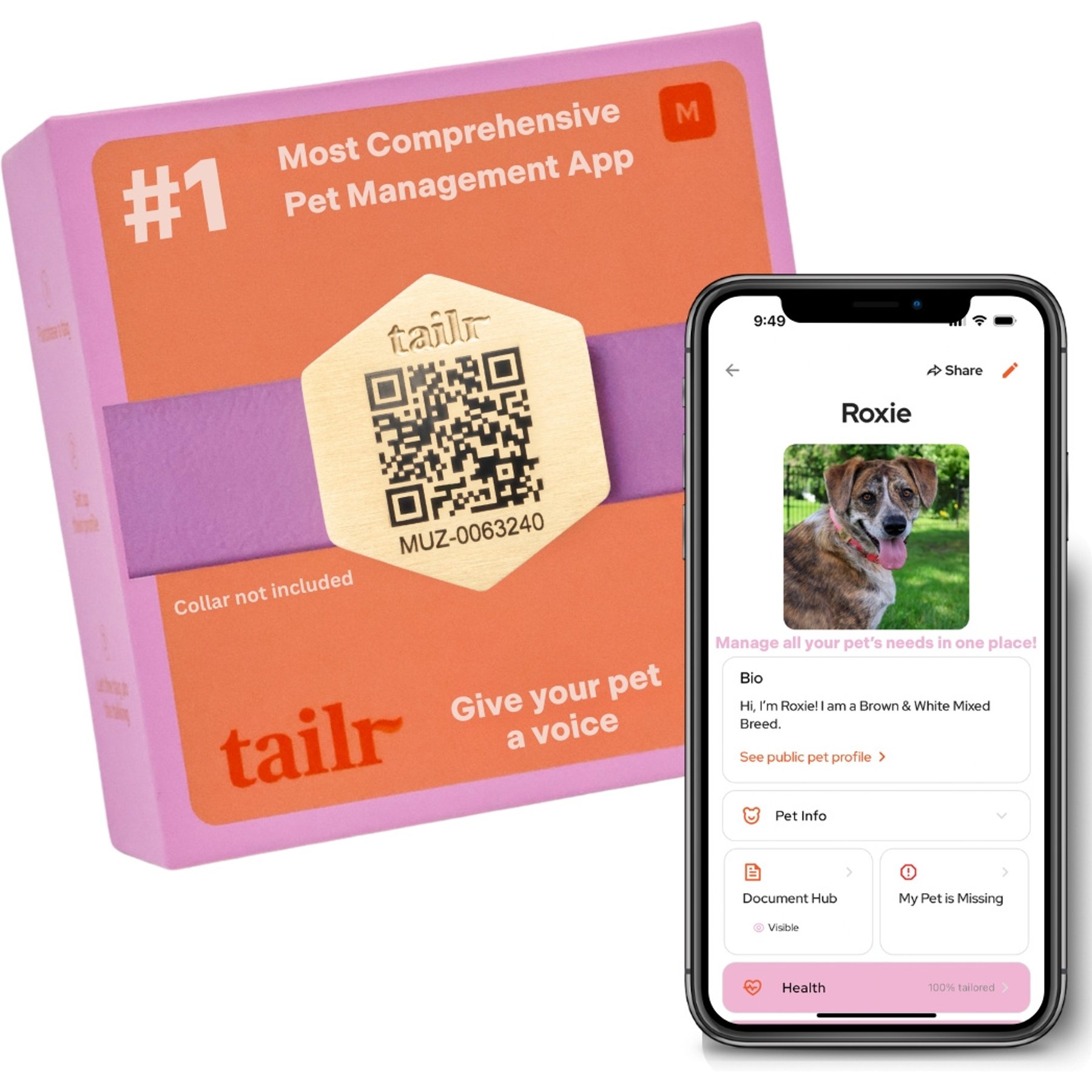 Tailr Slide QR Code Silent Dog & Cat ID Tag, Gold, Medium