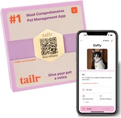 Tailr Slide-On QR Slide On Silent Digital Pet Profile Personalized Dog & Cat ID Tag, Gold, Small slide 1 of 9
