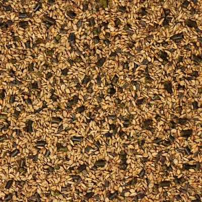 Show full view: Daily Dose Equine Achiever Horse Feed, 40-lb bag slide 4 of 5