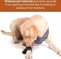 Doggie Stylz Dog Recovery Sleeve, XX-Large slide 2 of 6