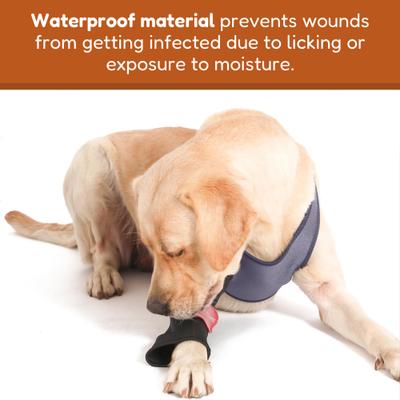 Show full view: Doggie Stylz Dog Recovery Sleeve, Medium slide 5 of 8