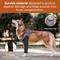 Show in main carousel: Doggie Stylz Dog Recovery Sleeve, Medium slide 6 of 8