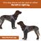 Show in main carousel: Doggie Stylz Dog Recovery Sleeve, Medium slide 3 of 8