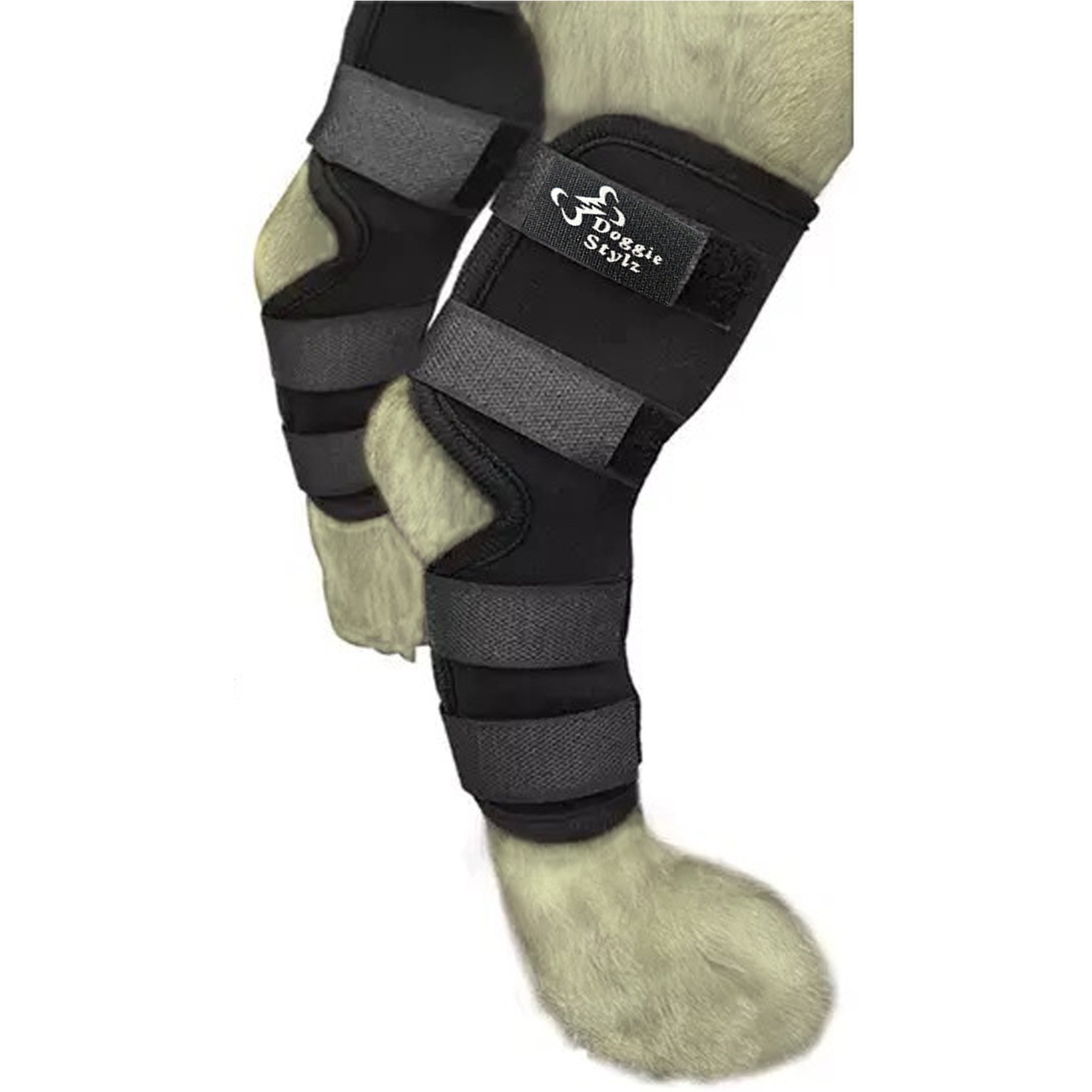 Doggie Stylz Adjustable Back Leg Dog Leg Braces, Medium
