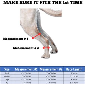 Doggie Stylz Adjustable Back Leg Dog Leg Braces, Medium