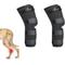Show in main carousel: Doggie Stylz Adjustable Back Leg Dog Leg Braces, Small slide 5 of 9