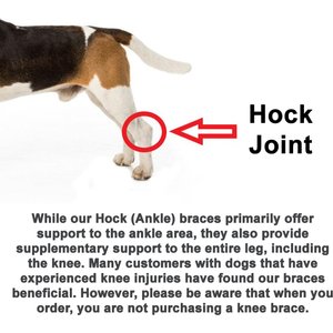 Doggie Stylz Adjustable Back Leg Dog Leg Braces, Medium