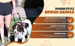 Doggie Stylz Service Dog Bridge Handle Guide Dog Harness, Medium slide 2 of 8