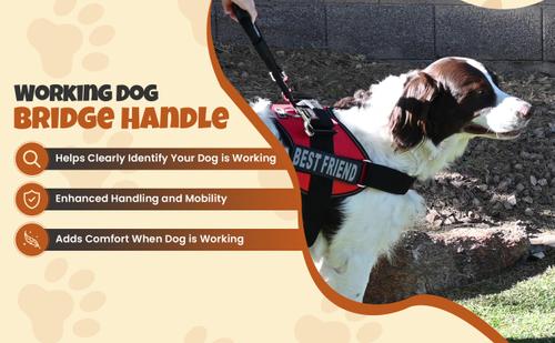 Show full view: Doggie Stylz Service Dog Bridge Handle Guide Dog Harness, Medium slide 8 of 10