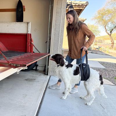 Show full view: Doggie Stylz Portable Dog Lift Harness, Large slide 5 of 9