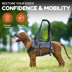 Doggie Stylz Dog Lift Harness, X-Large slide 2 of 7