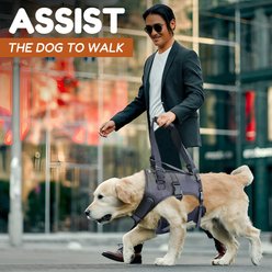 Doggie Stylz Dog Lift Harness, Large slide 2 of 7