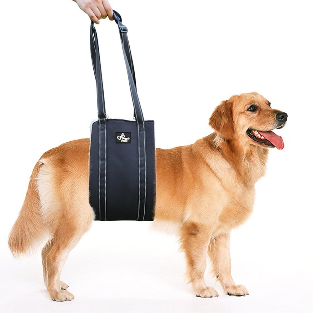 Doggie Stylz Portable Dog Lift Harness, Small
