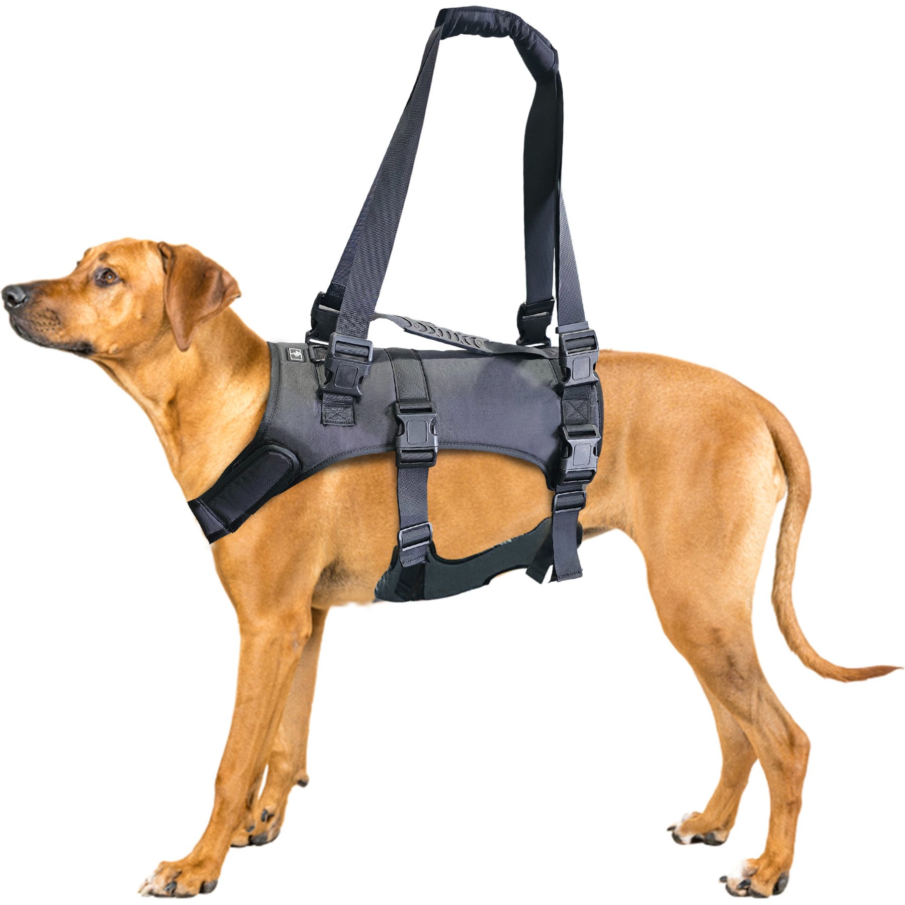 Doggie Stylz Dog Lift Harness, XX-Large