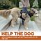 Show in main carousel: Doggie Stylz Dog Lift Harness, Large slide 5 of 9
