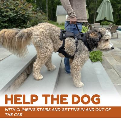 Show full view: Doggie Stylz Dog Lift Harness, Large slide 5 of 9