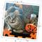 Show in main carousel: Meowijuana Refillable Get Spooked Pumpkin Cat Plush Toy with Catnip slide 10 of 11