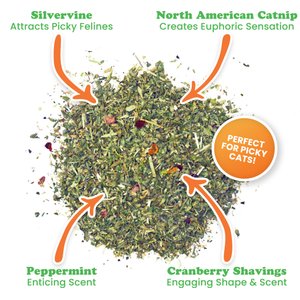 Meowijuana Winter Lift Peppermint, Cranberry, Silvervine, & Catnip Blend Catnip, 26-g jar
