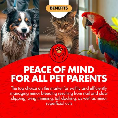 Show full view: Miracle Care Kwik Stop Styptic Pads for Dogs, Cats & Birds, 90 count slide 6 of 11