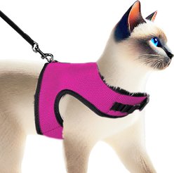 SunGrow Adjustable Rabbit & Cat Vest Harness & Leash Set Outdoor Walking Accessories, Pink, XX-Small: 8 - 12.8-in chest slide 2 of 8