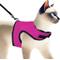 Show in main carousel: SunGrow Adjustable Rabbit & Cat Vest Harness & Leash Set Outdoor Walking Accessories, Pink, XX-Small: 8 - 12.8-in chest slide 3 of 9