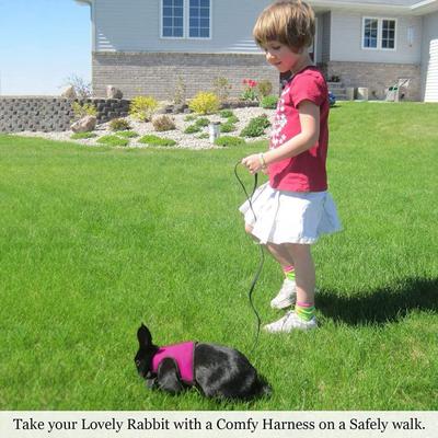 Show full view: SunGrow Adjustable Rabbit & Cat Vest Harness & Leash Set Outdoor Walking Accessories, Pink, XX-Small: 8 - 12.8-in chest slide 4 of 9