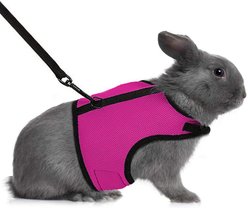 SunGrow Adjustable Rabbit & Cat Vest Harness & Leash Set Outdoor Walking Accessories, Pink, XX-Small: 8 - 12.8-in chest
