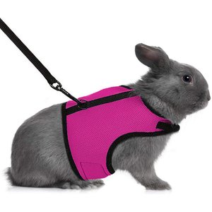 SunGrow Adjustable Rabbit & Cat Vest Harness & Leash Set Outdoor Walking Accessories, Pink, XX-Small: 8 - 12.8-in chest
