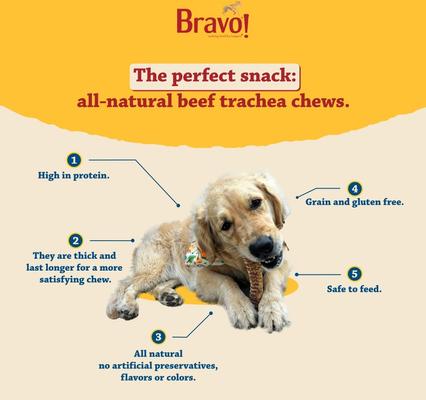 Show full view: Bravo! Bag-O-Chews Beef Trachea Minis Dry-Roasted Dog Treats, 7-oz bag slide 7 of 10