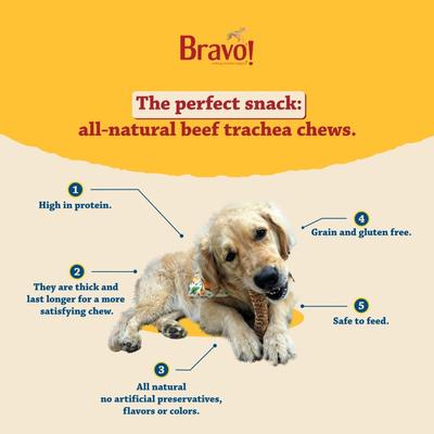 Show full view: Bravo! Bag-O-Chews 8" Beef Trachea Chews Dry-Roasted Dog Treats, 2 count slide 7 of 10