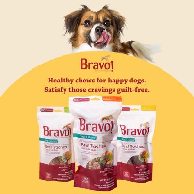 Show full view: Bravo! Bag-O-Chews 8" Beef Trachea Chews Dry-Roasted Dog Treats, 2 count slide 4 of 10