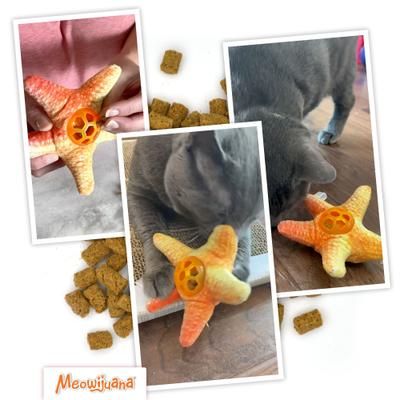 Show full view: Meowijuana Knock 'n' Nibble Starfish Refillable Treat Dispensing Cat Toy slide 6 of 10