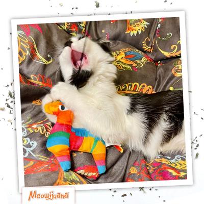 Show full view: Meowijuana Refillable Get Smashed Llama Pinata Wand Cat Toy slide 6 of 9