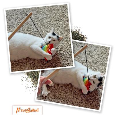 Show full view: Meowijuana Get Higher than a Kite Wand Refillable Plush Cat Toy with Catnip slide 5 of 8