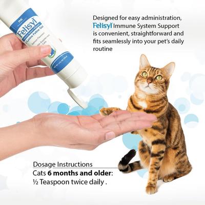 Show full view: Felisyl L-Lysine Gel Salmon Flavored Immune System Support Healthy Tissue, Respiratory, & Vision Supplement for Cats, 5-oz tube slide 8 of 12