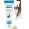 Show in main carousel: Felisyl L-Lysine Gel Salmon Flavored Immune System Support Healthy Tissue, Respiratory, & Vision Supplement for Cats, 5-oz tube slide 1 of 12