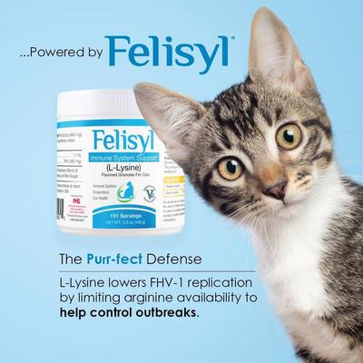 Show full view: Felisyl L-Lysine Granules Immune System Support, Salmon Flavor for Cats, 3.5-oz jar slide 7 of 12