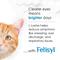 Show in main carousel: Felisyl L-Lysine Granules Immune System Support, Salmon Flavor for Cats, 3.5-oz jar slide 8 of 12