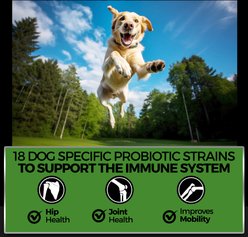 Pet Chef Canine Arthritis Pain Relief Vegan Bacon Flavored Soft Chew Hip Joint Mobility Supplement for Dogs, 10-oz jar, 140 count slide 2 of 6