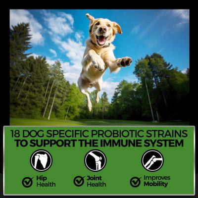 Show full view: Pet Chef Canine Arthritis Pain Relief Vegan Bacon Flavored Soft Chew Hip Joint Mobility Supplement for Dogs, 10-oz jar, 140 count slide 7 of 8