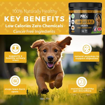 Show full view: Pet Chef Lawn Saver Plus! Blocks Urine Damage Peanut Butter Flavored Soft Chew Urinay Support Supplement for Dogs, 10-oz jar, 140 count slide 5 of 9