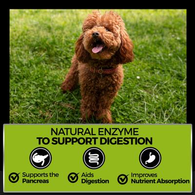 Show full view: Pet Chef No Mo Poo Natural Organic No Chemicals Peanut Butter Flavored Soft Chew Coprophagia Supplement for Dogs, 10-oz jar slide 5 of 7