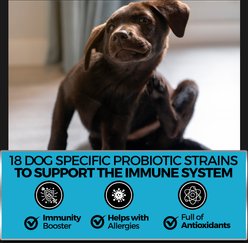 Pet Chef All Natural Omega 3, Salmon Oil & Peanut Butter Flavored Soft Chew Allergy Support Supplement for Dogs, 10-oz jar, 140 count slide 2 of 7